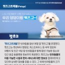 펫하우스 동물병원 이미지