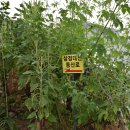 죽3리마을회관 이미지