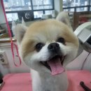 세븐일레븐 광양마동점 이미지