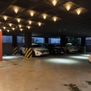 까사루시도 이미지