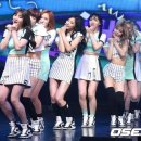진가세소리 OSEN
