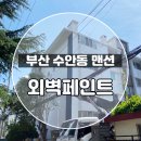 부산페인트 | 부산 맨션 외벽페인트 재도색 수안동 현장 후기