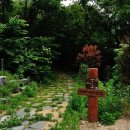 아라메길(1-1) 이미지