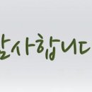 도리상조 Daum카페