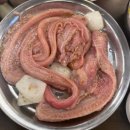 대전 태평동 장어 맛집 우리풍천장어숯불꼼장어 대전본점