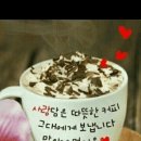 커피 Daum카페