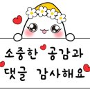 지쎈학원