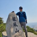 용봉초교 이미지