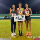 경주시청-1 이미지