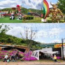 클린MTB | 대구 근교 아이랑 청도자전거공원 캠핑장: 주차장 ㅣ명당 ㅣ놀이터 MTB