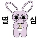 아울리버 이미지