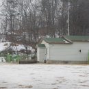 스타독스 이미지