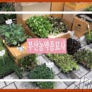 부산농약종묘사 이미지