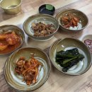 광장복어 이미지