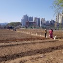 남양주시농업기술센터 이미지