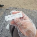 르네이비인후과의원 | 220225::설마 내가 코로나?(우당탕탕 보건소/병원 신속항원검사와 PCR 검사 후기)