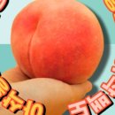 금봉 농장 이미지