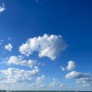 바다품은집 이미지