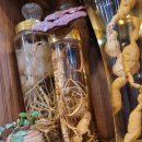 심마니산약초산삼백숙 이미지