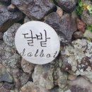 달밭코티지 이미지