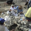 한국자연사박물관 이미지