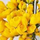 향기3로 이미지