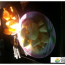 김명주 농장 이미지