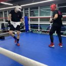 유타복싱클럽 이미지