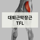 운동과건강 1:1 전문운동센터 이미지