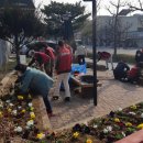 온양1동 시민로 이미지