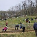 친환경나눔텃밭 이미지