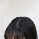 테리비어 이미지