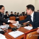 대미플러스 이미지