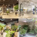 덕하우스 이미지