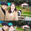 섬마을목장 이미지