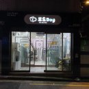 뽀도DOG 이미지
