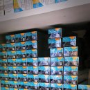 워너비옵틱 이미지