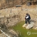 동면 생태친구들 이미지