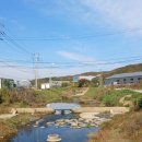 진위천 방아리 이미지