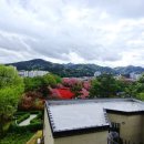 완산체육공원 화장실 이미지