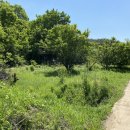 부곡온천부동산중개 이미지