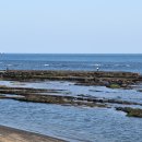 일출봉식당 이미지