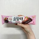한성카에어콘 | 신상 아이스크림 요맘때 초코크러쉬 요아정 베라 안가도 되겠는데? 내돈내산 후기