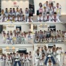 세교한국태권도장 이미지