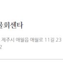 제주수산물회센타 이미지