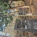 서원곡 백운사 앞 | 무학산 최단코스 백운사 주차장 365계단 정상 원점회기 등산코스 다녀왔습니다 산림청 블랙야크 100대명산