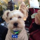 꾸러기캠핑장 이미지