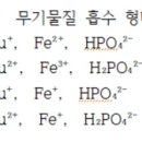 수경재배 질문 이미지