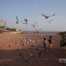 솔찬공원 이미지