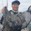낚시세상 - 구미시 선산대로 1148 | 낚시세상